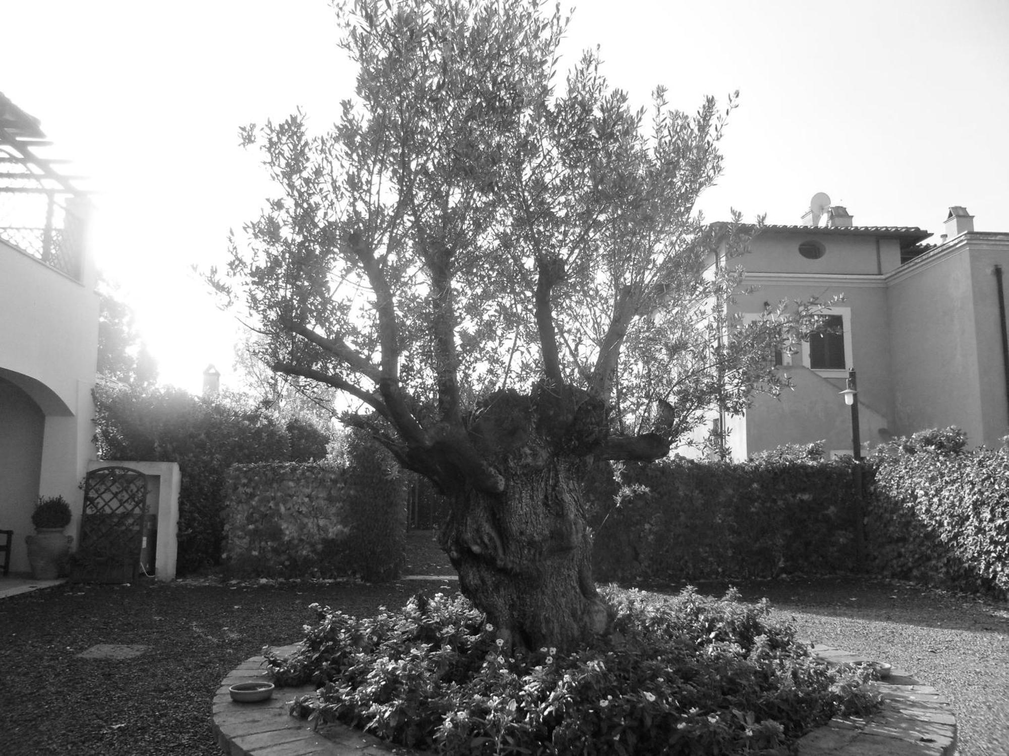 Casale Di Tormaggiore Villa And Country Suites ポメツィア エクステリア 写真